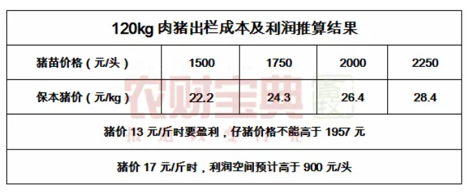 猪价强力反弹后怎么走?短期长期或是这样