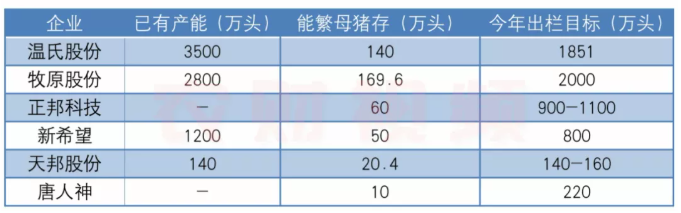 猪价强力反弹后怎么走?短期长期或是这样