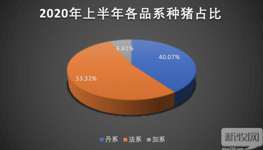 10591头！种猪进口暴增，产能释放之时猪价要暴跌？