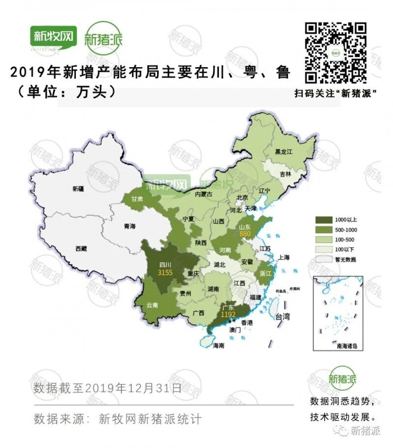 新增1.2亿头！2019年24家养猪大集团疯狂布局四川、广东、山东