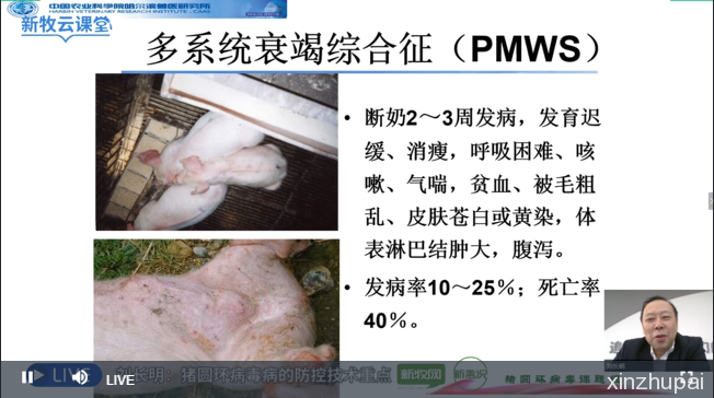 刘长明：猪圆环病毒病死亡率可达40%，免疫失败有3大原因