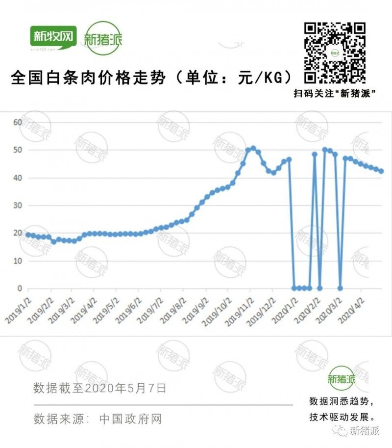 猪价跌破15元大关，仔猪却涨破50元/斤：警惕这场猪价陷阱