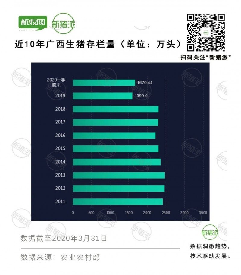 兵家必争之地！1500万头产能落地，广西50%的猪将由大企业提供？