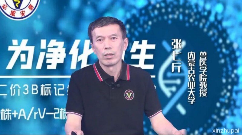 非瘟之下如何推进口蹄疫防控净化？疫苗选择是关键！