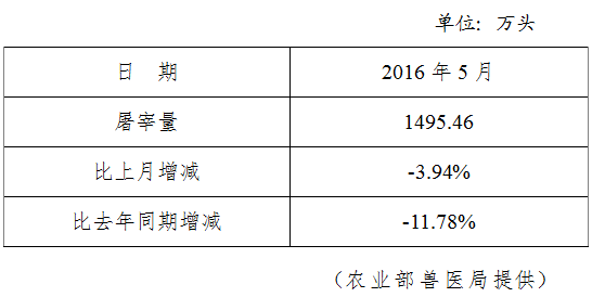 生猪数据：        2016年5月全国规模以上生猪定点屠宰企业屠宰量