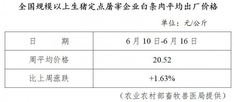 生猪数据：        全国规模以上生猪定点屠宰企业白条肉平均出厂价格（6月10日-6月16日）