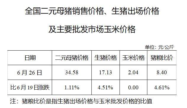 生猪数据：        全国二元母猪销售价格、生猪出场价格及主要批发市场玉米价格（6月26日）