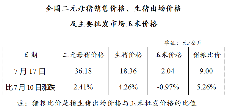 生猪数据：        全国二元母猪销售价格、生猪出场价格及主要批发市场玉米价格（7月17日）