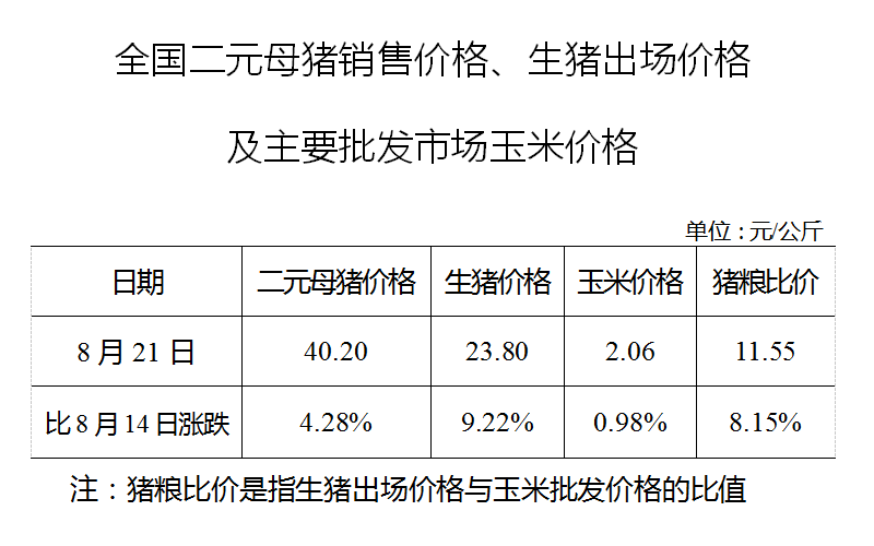 生猪数据：        全国二元母猪销售价格、生猪出场价格及主要批发市场玉米价格（2019年8月21日）