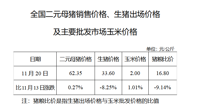 生猪数据：        全国二元母猪销售价格、生猪出场价格及主要批发市场玉米价格（11月20日）