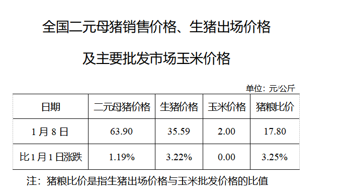 生猪数据：        全国二元母猪销售价格、生猪出场价格及主要批发市场玉米价格（1月8日）