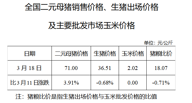 生猪数据：        全国二元母猪销售价格、生猪出场价格及主要批发市场玉米价格（3月18日）