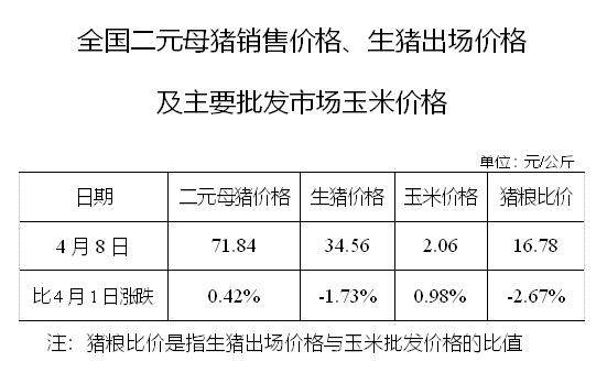 生猪数据：        全国二元母猪销售价格、生猪出场价格及主要批发市场玉米价格（4月8日）