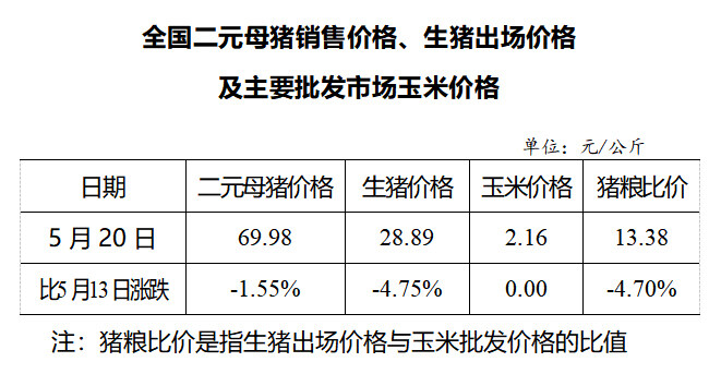 生猪数据：        全国二元母猪销售价格、生猪出场价格及主要批发市场玉米价格（5月20日）