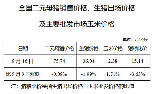 生猪数据：        全国二元母猪销售价格、生猪出场价格及主要批发市场玉米价格（9月16日）