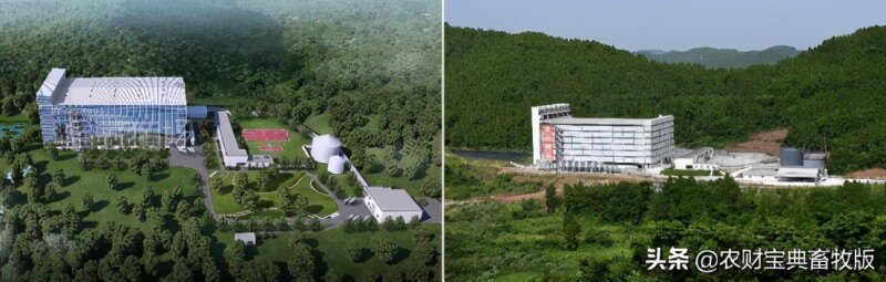 面世一周年，余式猪场5.0遍地开花