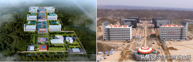 面世一周年，余式猪场5.0遍地开花