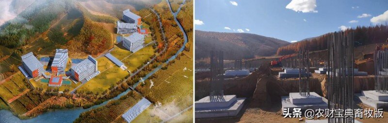 面世一周年，余式猪场5.0遍地开花