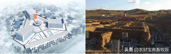 面世一周年，余式猪场5.0遍地开花