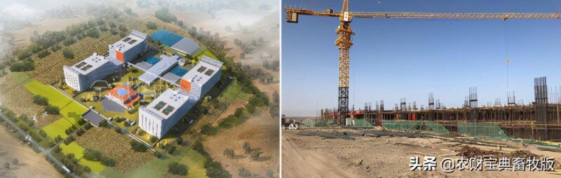 面世一周年，余式猪场5.0遍地开花