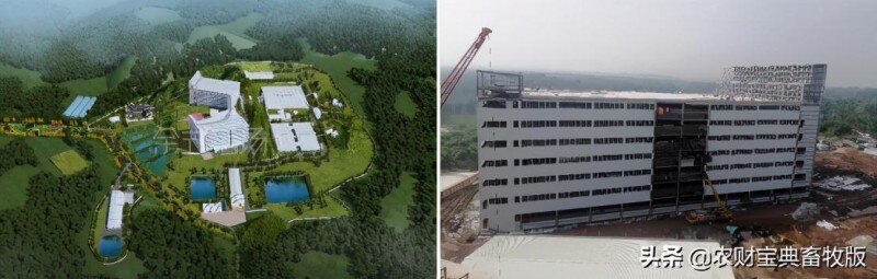 面世一周年，余式猪场5.0遍地开花