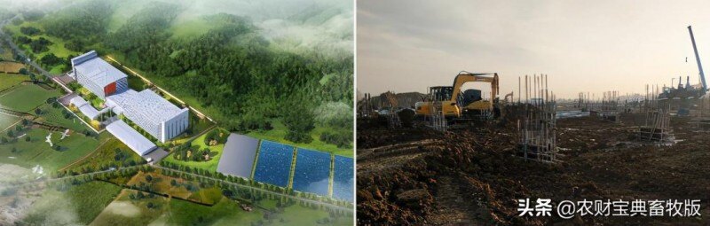 面世一周年，余式猪场5.0遍地开花