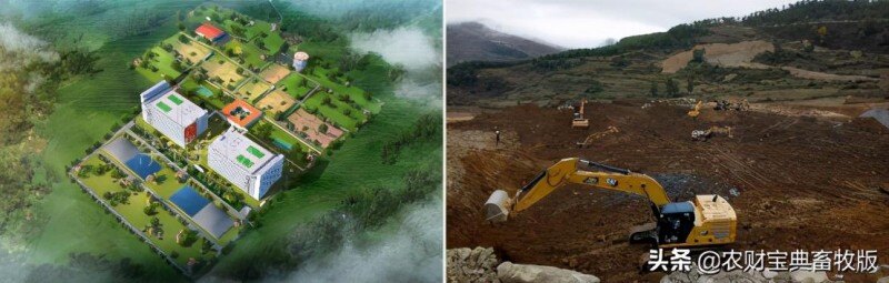 面世一周年，余式猪场5.0遍地开花