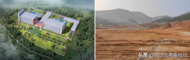 面世一周年，余式猪场5.0遍地开花