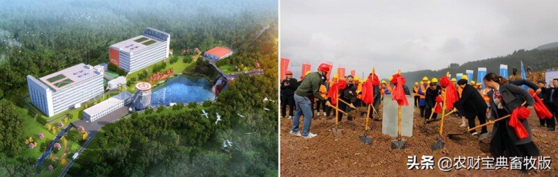 面世一周年，余式猪场5.0遍地开花