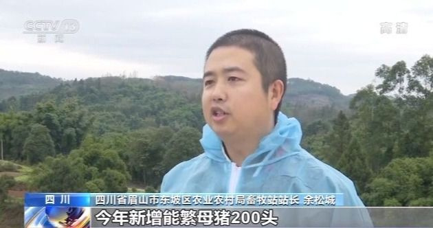 央视新闻:全国生猪产能持续恢复 供应充足