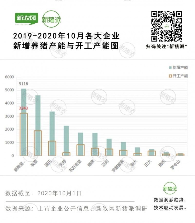 新增3.07亿头，投产仅3731万头！生猪产能落地需要资金与时间