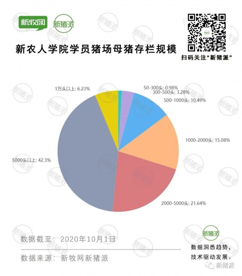 超500猪业精英聚焦防非、扩产！新猪派2020防非扩产峰会盛大开幕