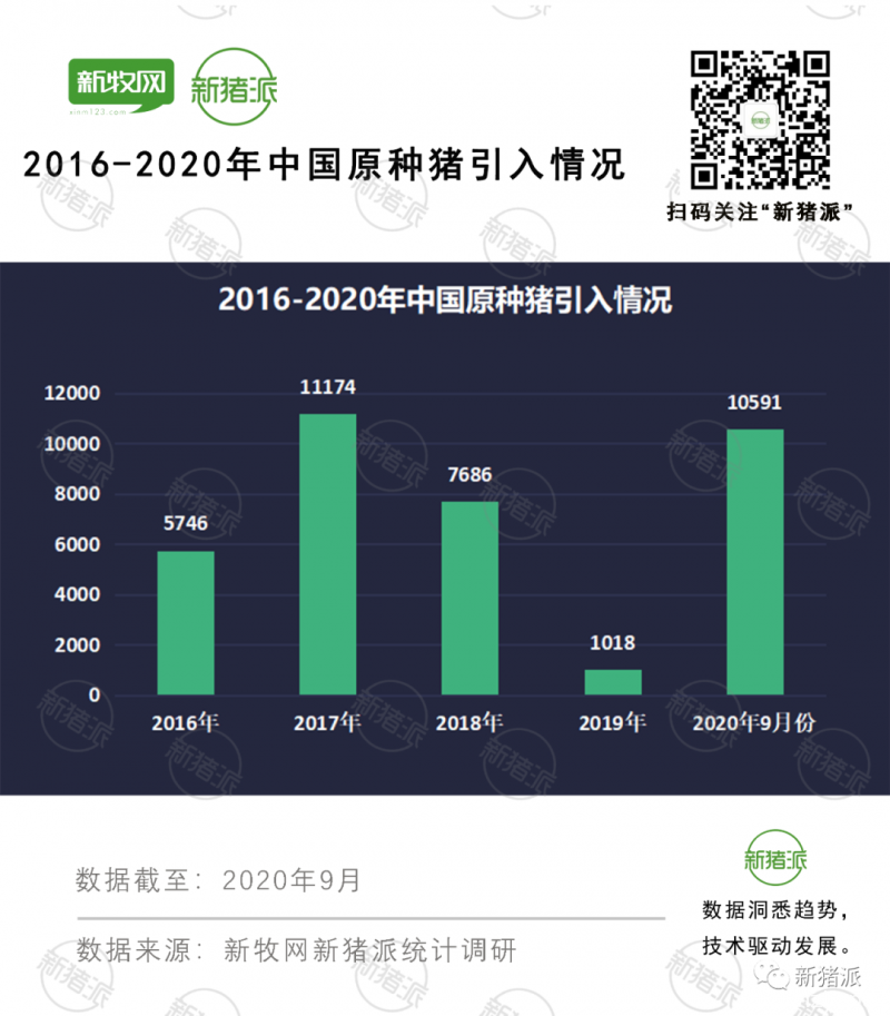 斥资5.5亿！为造国产“猪芯片”，这家坐拥6000头原种猪企业准备这么干！