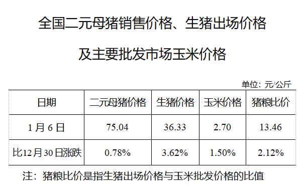 生猪数据：        全国二元母猪销售价格、生猪出场价格及主要批发市场玉米价格（1月6日）