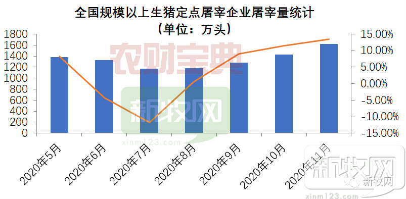 近期猪价为何暴涨？四大原因值得深思！