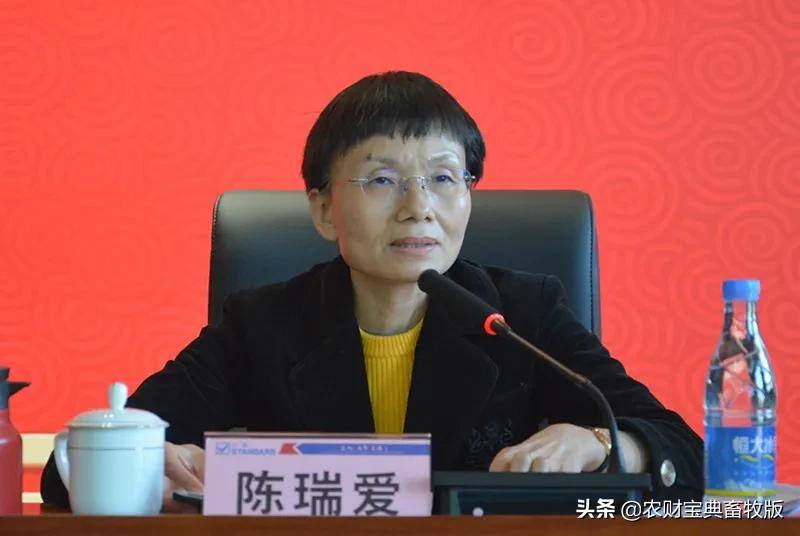 深耕市场,创新突破,提升竞争力——正典2021年工作大会顺利召开!