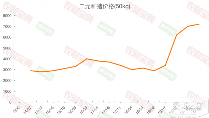 二元母猪最高6200元/头，仔猪1600元！