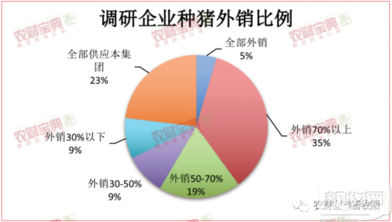 二元母猪最高6200元/头，仔猪1600元！