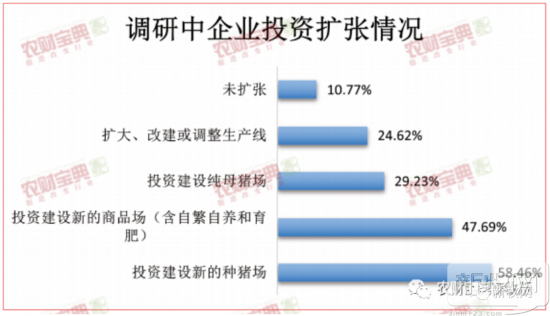 二元母猪最高6200元/头，仔猪1600元！