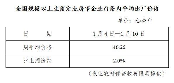 生猪数据：        全国规模以上生猪定点屠宰企业白条肉平均出厂价格（2021年1月4日—2021年1月10日）