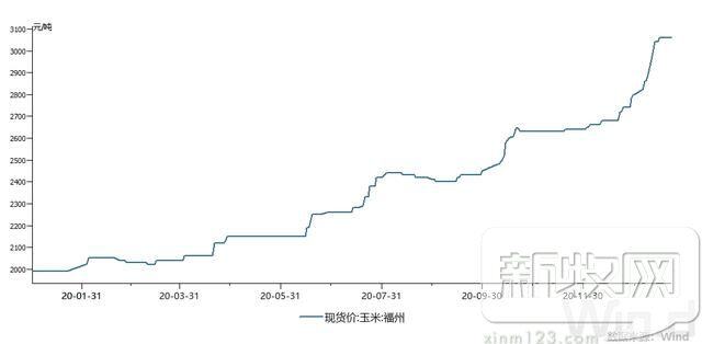 玉米突破3000元/吨，饲料跟涨“一周一调价”