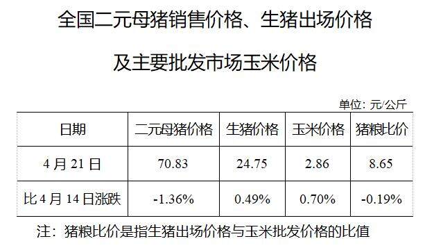 生猪数据：        全国二元母猪销售价格、生猪出场价格及主要批发市场玉米价格（4月21日）