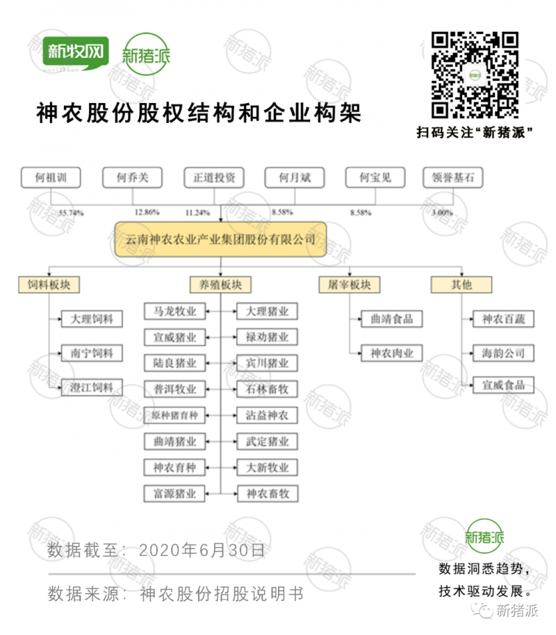 云南神农成功IPO：计划三年出栏150万头，何氏4兄妹占股97%