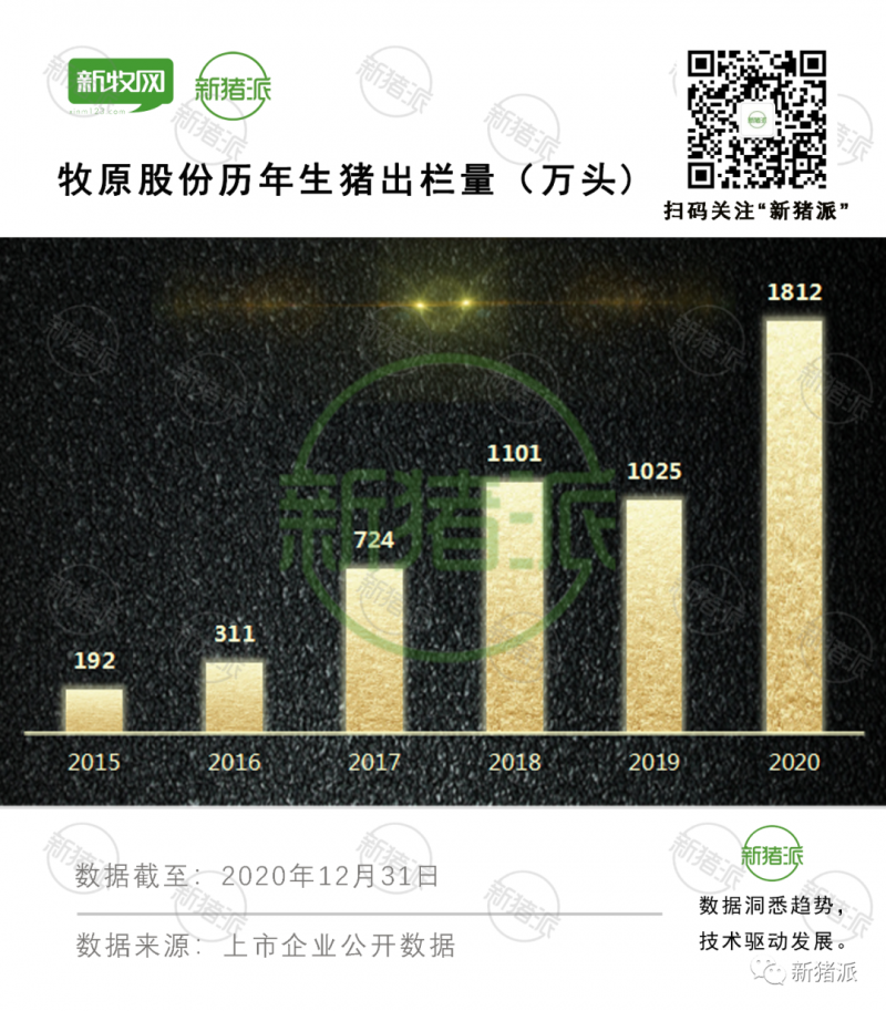 日进1.5亿元！牧原2020高光时刻：出栏1812万头猪新增88家养殖场