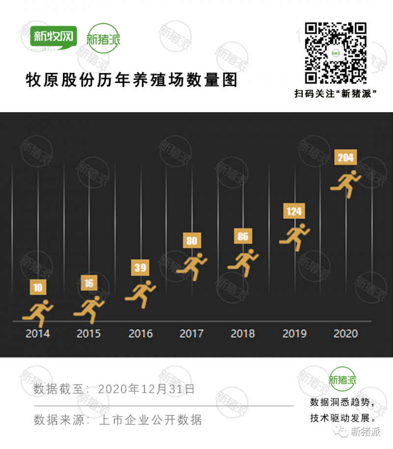 日进1.5亿元！牧原2020高光时刻：出栏1812万头猪新增88家养殖场