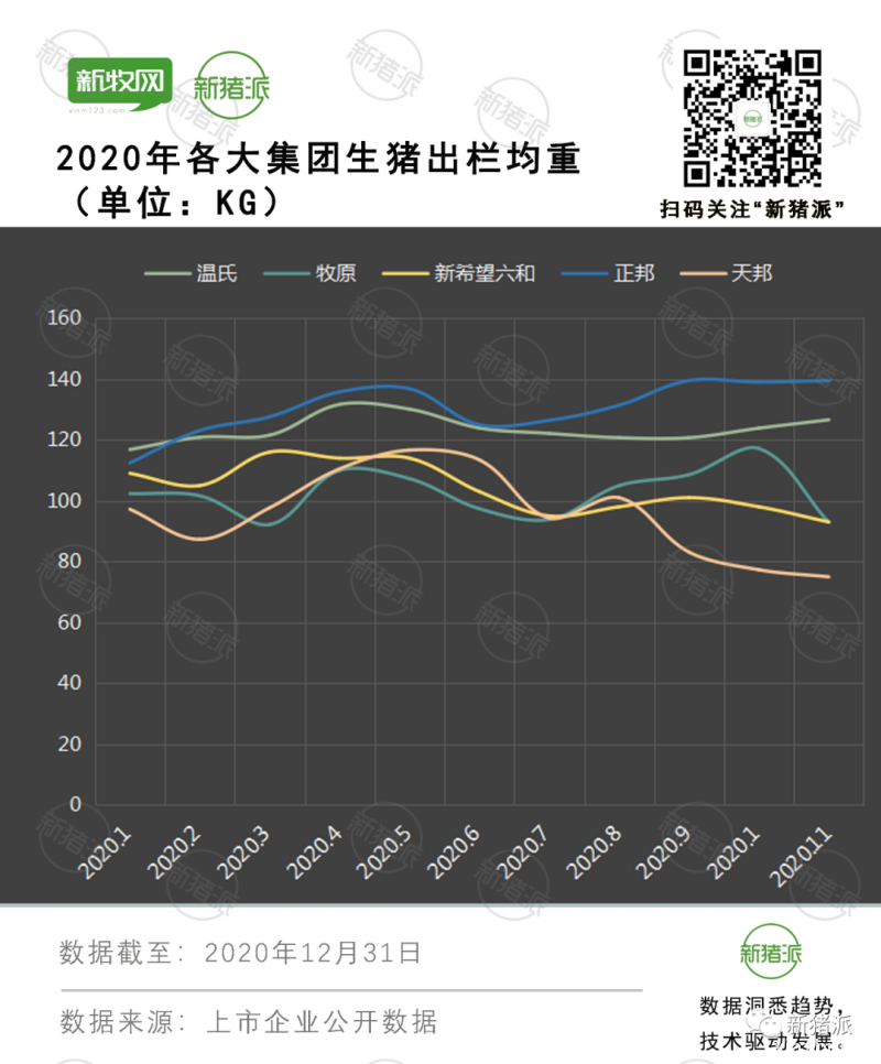 缺猪！猪价逼近20元关口，大集团无猪可压，今年行情这样走