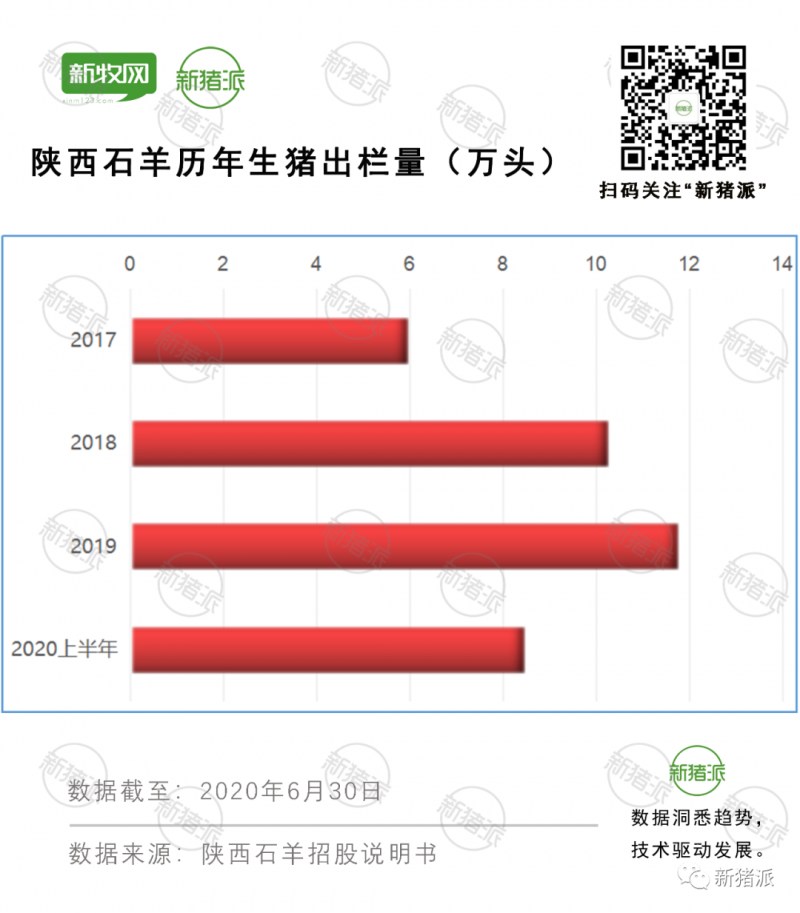 500万头出栏目标！陕西石羊IPO：拟募资近10亿养猪与扩建饲料厂