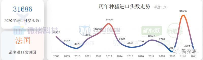 重磅！2020中国猪业数据报告正式发布