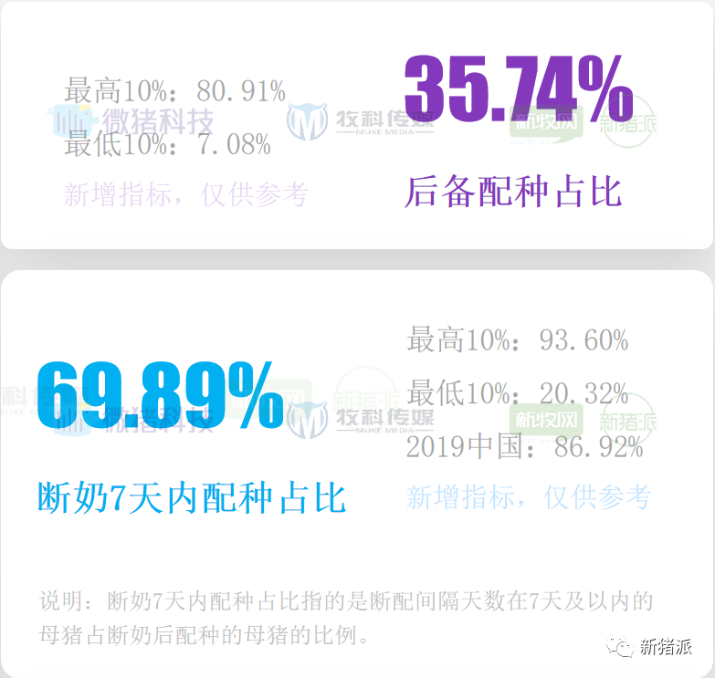 重磅！2020中国猪业数据报告正式发布