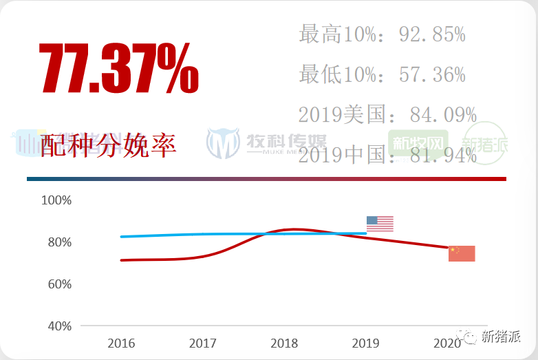 重磅！2020中国猪业数据报告正式发布